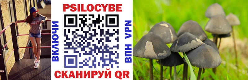 Псилоцибиновые грибы Psilocybine cubensis закладки Енисейск